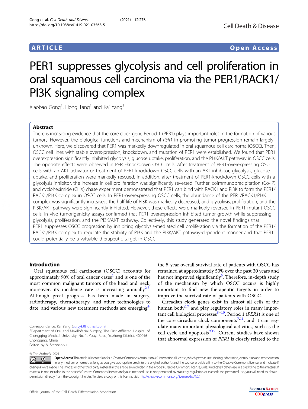 PER1 Suppresses Glycolysis and Cell Proliferation in Oral Squamous Cell Carcinoma Via the PER1/RACK1/ PI3K Signaling Complex Xiaobao Gong1,Hongtang1 and Kai Yang1