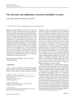 The Detection and Implication of Genome Instability in Cancer