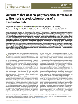 Extreme Y Chromosome Polymorphism Corresponds to Five Male Reproductive Morphs of a Freshwater Fish