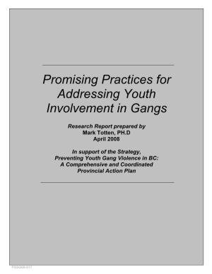 Promising Practices for Addressing Youth Involvement in Gangs