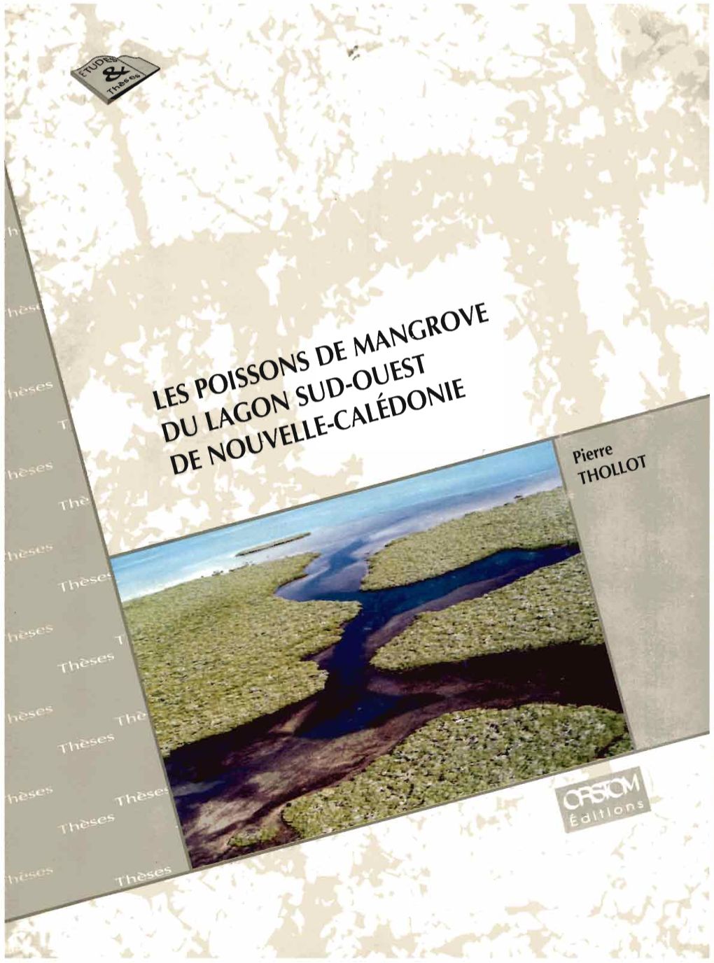 Les Poissons De Mangrove Du Lagon Sud-Ouest De Nouvelle-Calédonie Représente La Principale Démarche De Cette Analyse