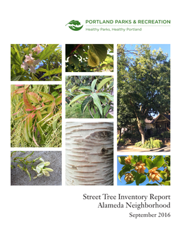 Street Tree Inventory Report Alameda Neighborhood September 2016 Street Tree Inventory Report: Alameda Neighborhood September 2016