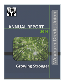 2014 Annual Report with Condensed