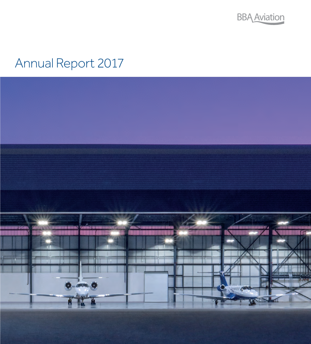 Annual Report 2017 Strategic Report What We Do