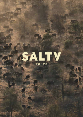 Download the SALTY Catalogue