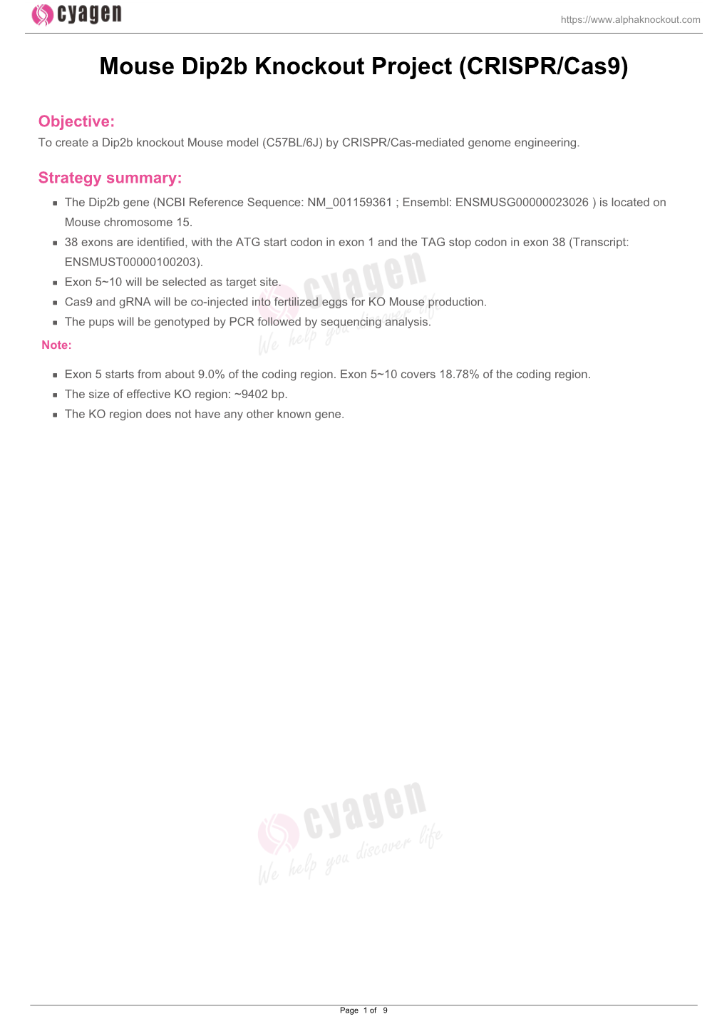 Mouse Dip2b Knockout Project (CRISPR/Cas9)