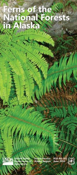 Ferns of the National Forests in Alaska