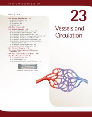 Vessels and Circulation