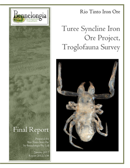 Turee Syncline Iron Ore Project, Troglofauna Survey