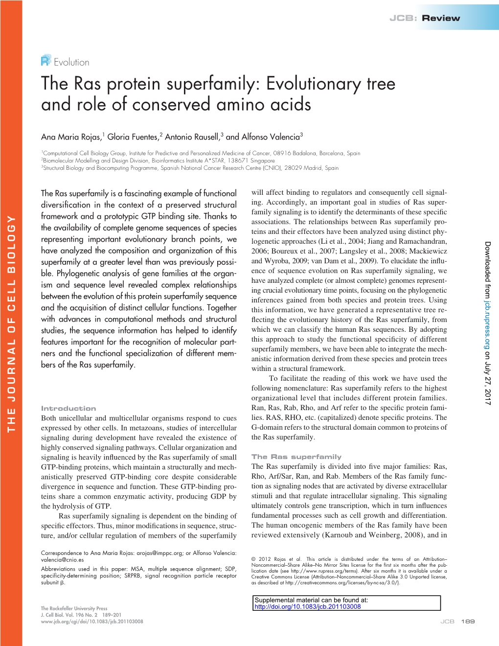 The Ras Protein Superfamily: Evolutionary Tree and Role of Conserved Amino Acids