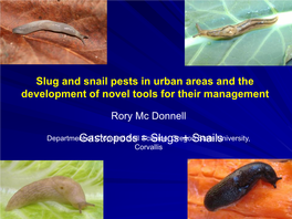 Gastropods = Slugs + Snails