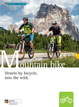 Ountain Bike Mveneto by Bicycle, Into the Wild