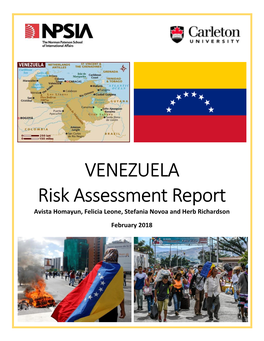 VENEZUELA Risk Assessment Report