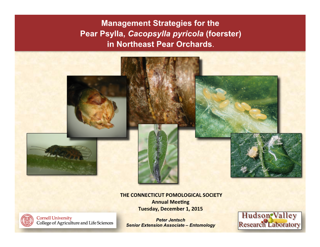 Management Strategies for the Pear Psylla, Cacopsylla Pyricola (Foerster)