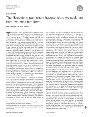 The Fibrocyte in Pulmonary Hypertension: We Seek Him Here, We Seek Him There