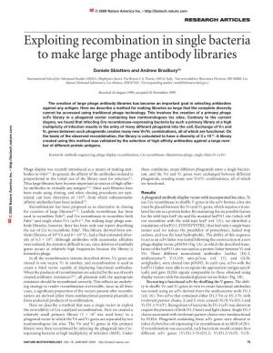 Exploiting Recombination in Single Bacteria to Make Large Phage Antibody Libraries