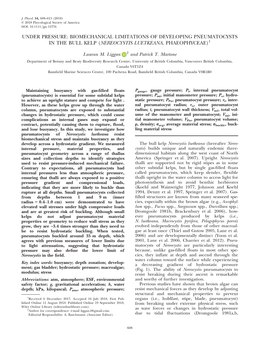 Biomechanical Limitations of Developing Pneumatocysts in the Bull Kelp (Nereocystis Luetkeana, Phaeophyceae)1