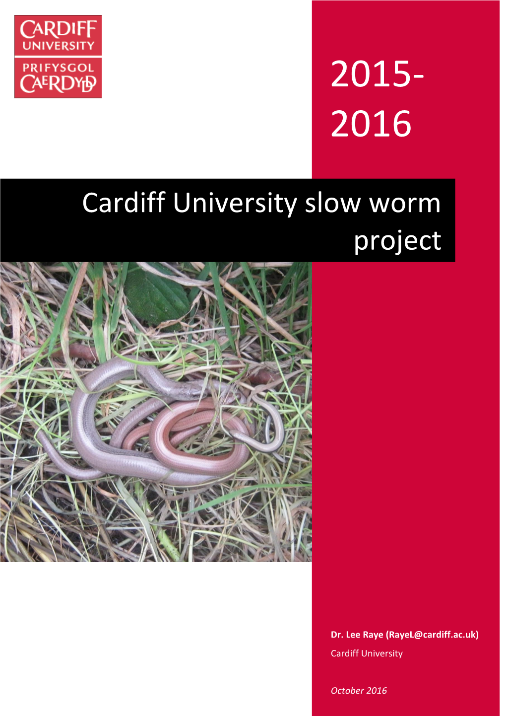 Cardiff University Slow Worm Project