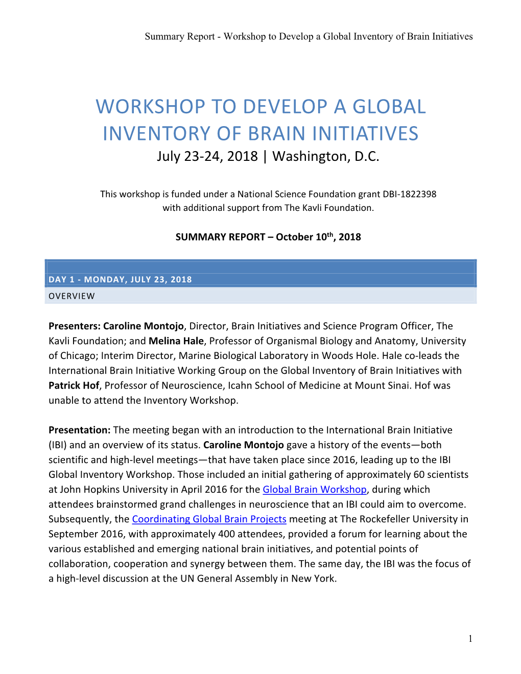 Workshop to Develop a Global Inventory of Brain Initiatives