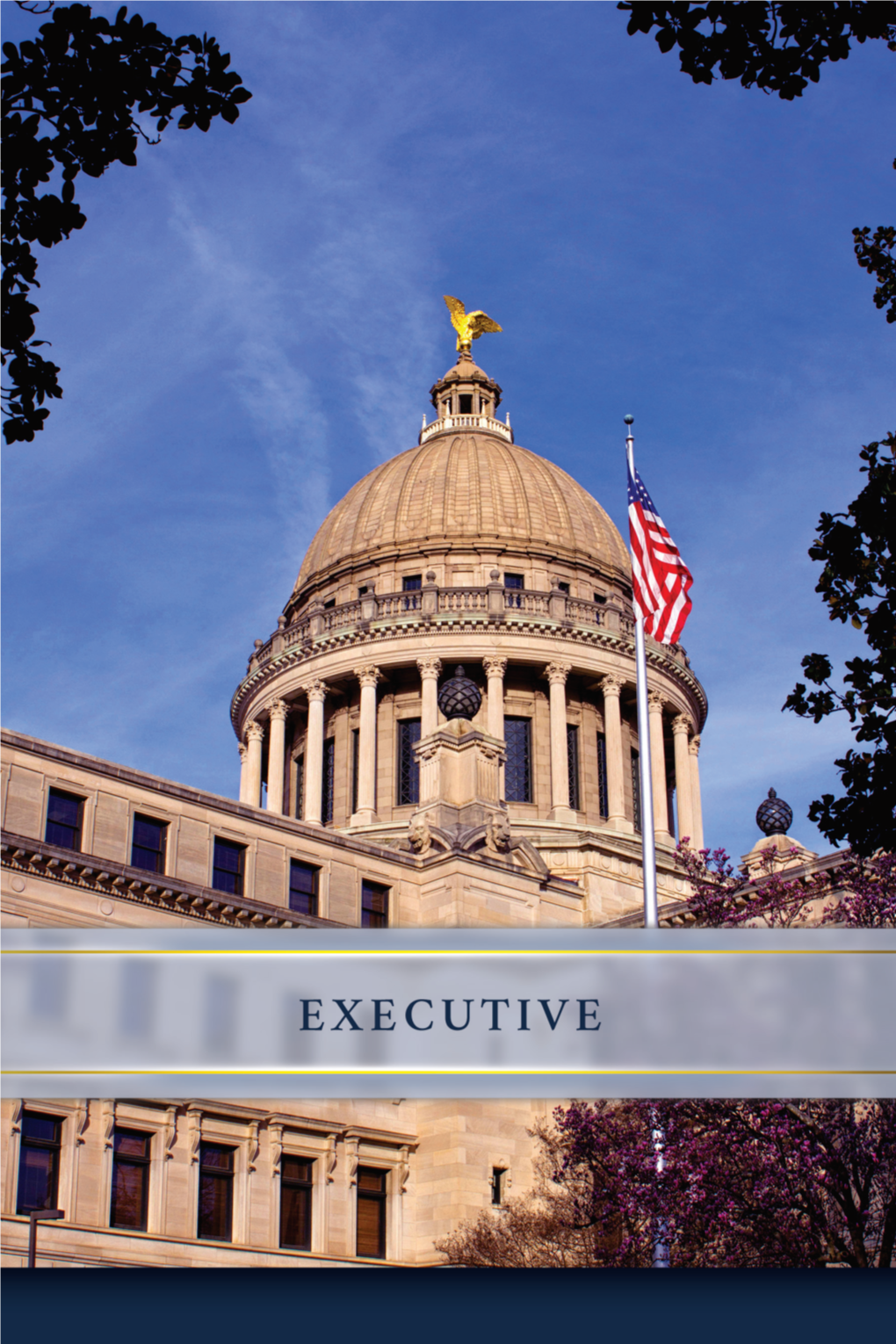 EXECUTIVE Article 5 and Article 6 of the Mississippi Constitution of 1890 Authorize the Duties and Responsibilities of the Statewide Elected Officials
