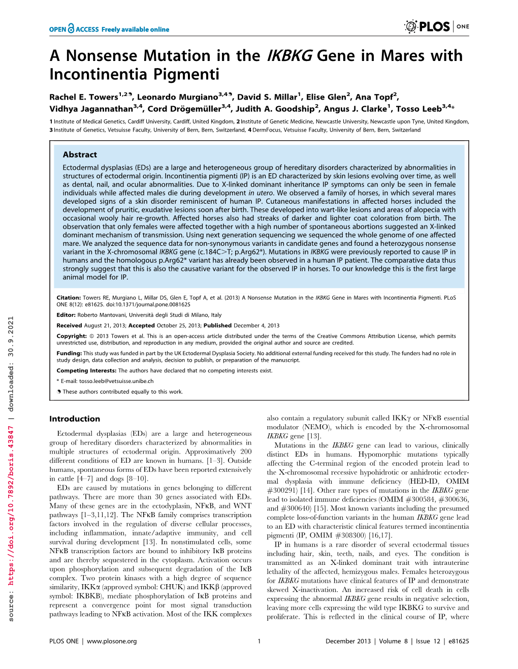 A Nonsense Mutation in the IKBKG Gene in Mares with Incontinentia Pigmenti