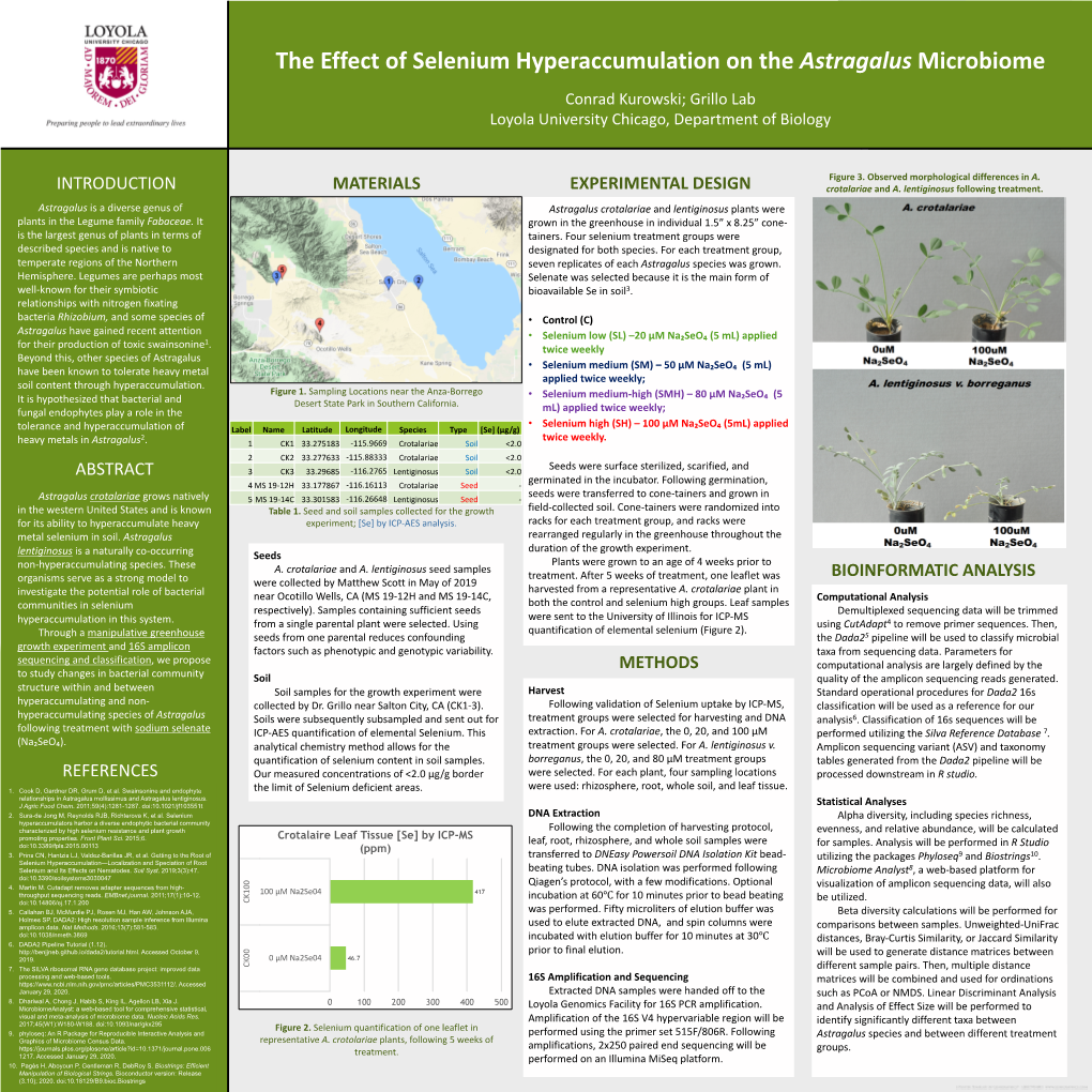 The Effect of Selenium Hyperaccumulation on the Astragalus Microbiome Conrad Kurowski; Grillo Lab Loyola University Chicago, Department of Biology