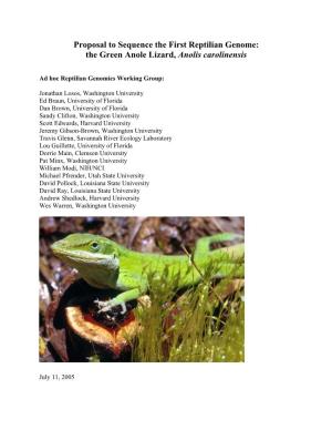 The Green Anole Lizard, Anolis Carolinensis