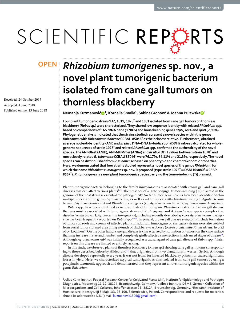 Rhizobium Tumorigenes Sp. Nov., a Novel Plant Tumorigenic Bacterium