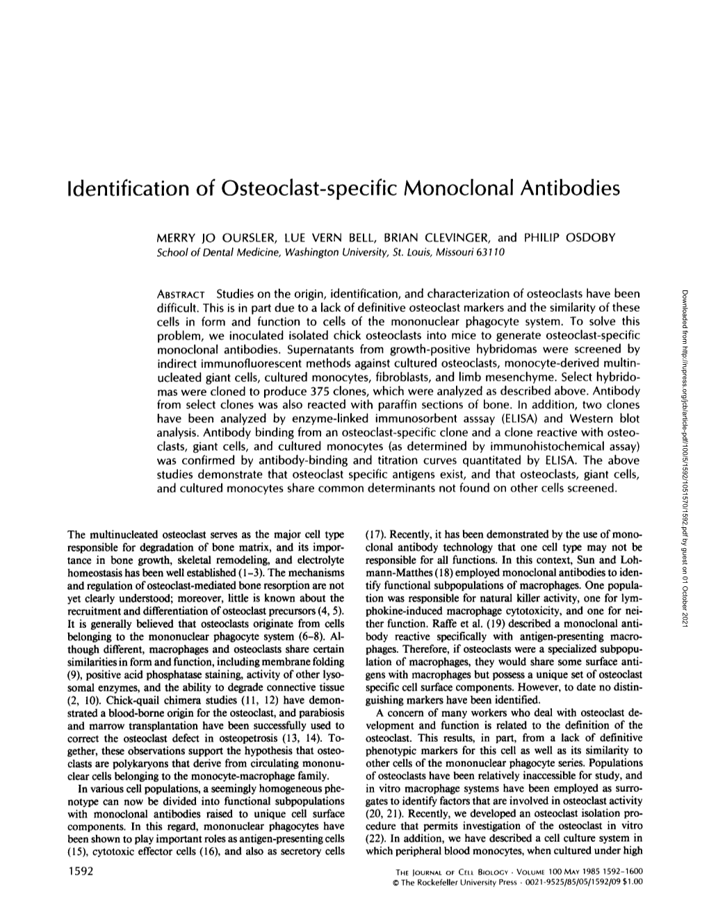 Identification of Osteoclast-Specific Monoclonal Antibodies