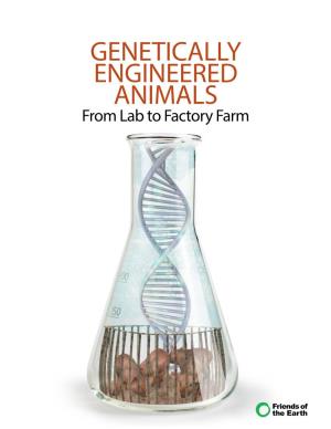 GENETICALLY ENGINEERED ANIMALS from Lab to Factory Farm Acknowledgments This Report Was Written by Dr