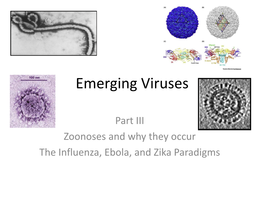 C. Specific Emerging Viruses to Become HIV