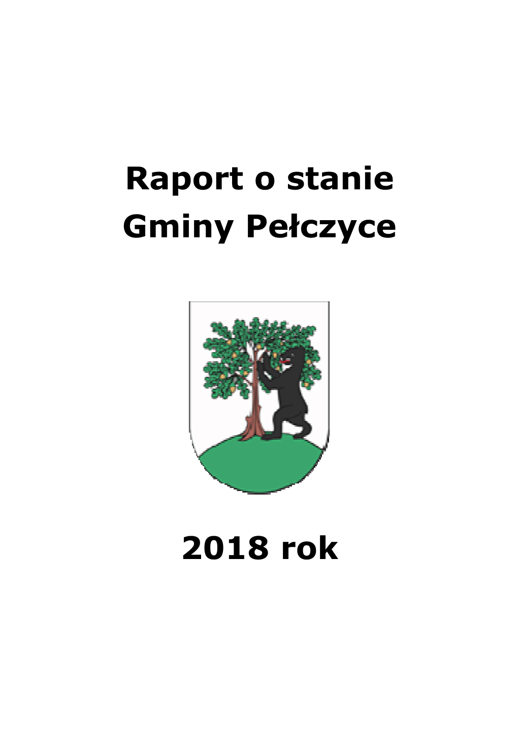 Raport O Stanie Gminy Pełczyce 2018