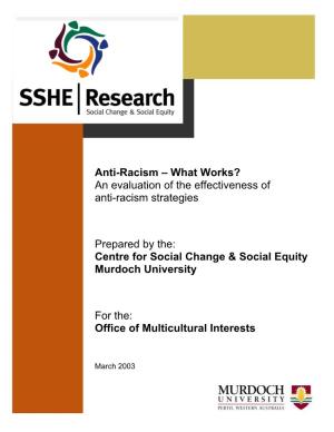 What Works? an Evaluation of the Effectiveness of Anti-Racism Strategies