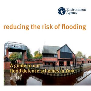 Reducing the Risk of Flooding