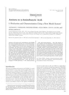 Antisera to L'-Aminobutyric Acid