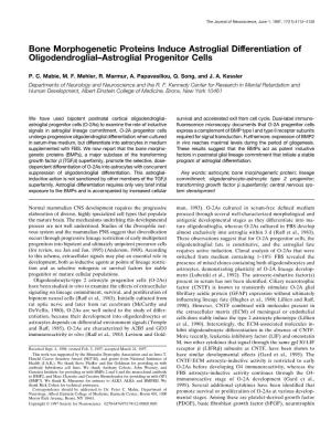 Bone Morphogenetic Proteins Induce Astroglial Differentiation of Oligodendroglial–Astroglial Progenitor Cells