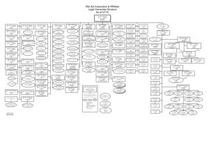 Rite Aid Corporation & Affiliates Legal Ownership Structure As of 3/1/10