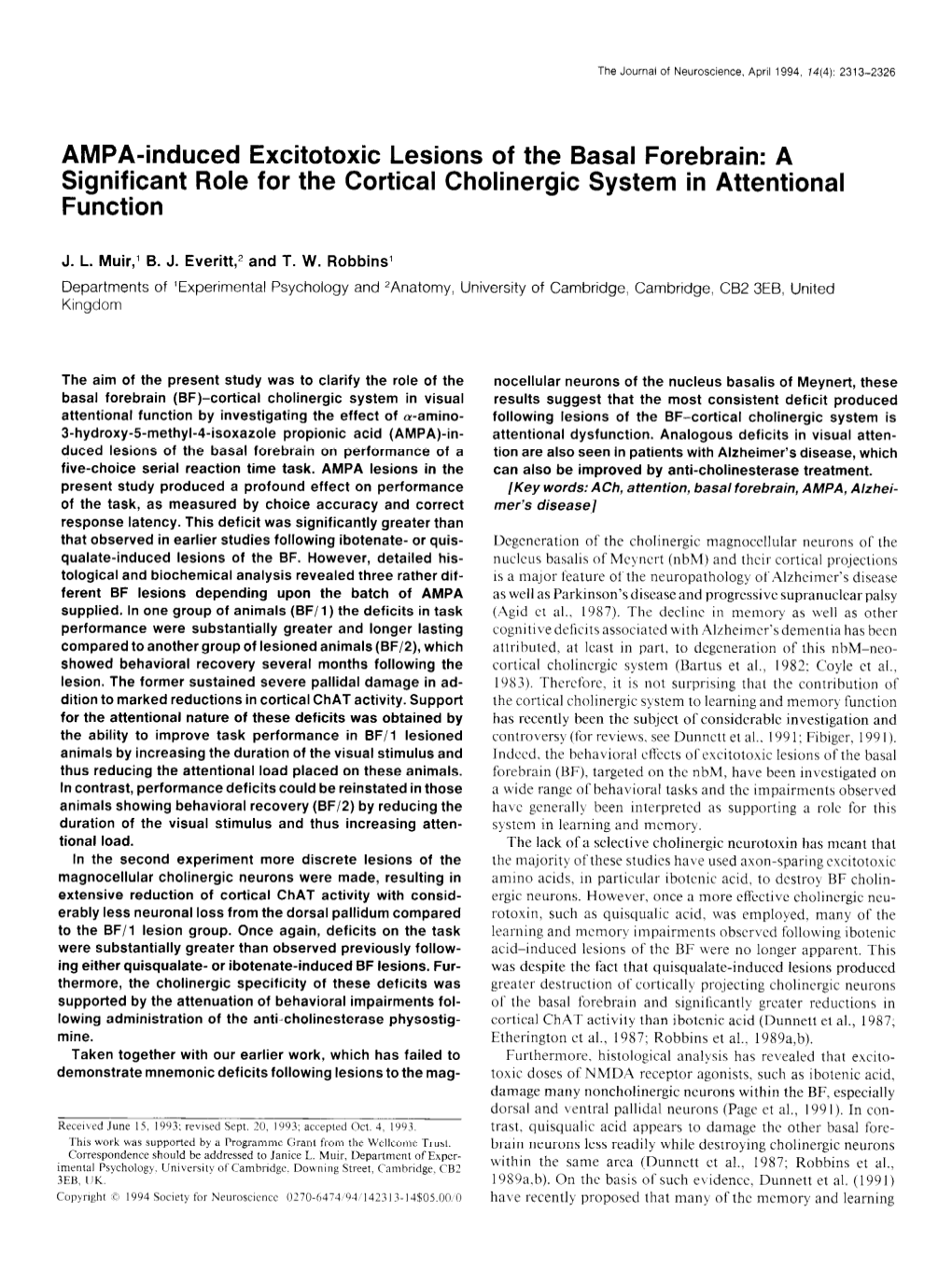 AMPA-Induced Excitotoxic Lesions of the Basal Forebrain: a Significant Role for the Cortical Cholinergic System in Attentional Function