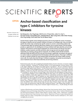 Anchor-Based Classification and Type-C Inhibitors for Tyrosine Kinases
