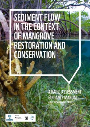Sediment Flow in the Context of Mangrove Restoration and Conservation