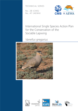 International Single Species Action Plan for the Conservation of the Sociable Lapwing