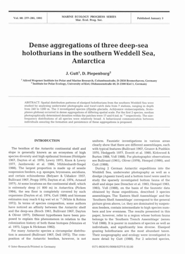 Dense Aggregations of Three Deep-Sea Holothurians in the Southern Weddell Sea, Antarctica