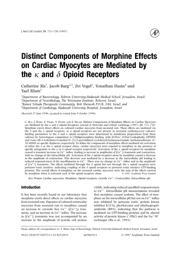 Distinct Components of Morphine Effects on Cardiac Myocytes Are Mediated by the J and D Opioid Receptors