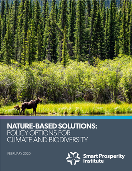 Nature-Based Solutions: Policy Options for Climate and Biodiversity