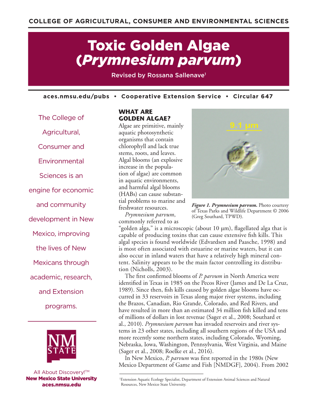 Toxic Golden Algae (Prymnesium Parvum)