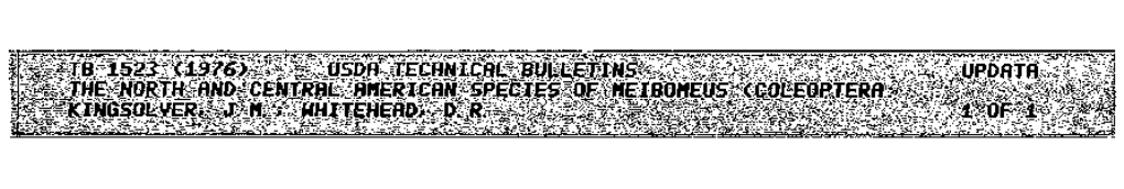 The North and Central American Species of Meibomeus (Coleoptera: Bruchidae: Bruchinae)