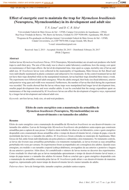 Effect of Energetic Cost to Maintain the Trap for Myrmeleon Brasiliensis (Neuroptera, Myrmeleontidae) in Its Development and Adult Size T