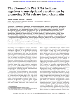 The Drosophila P68 RNA Helicase Regulates Transcriptional Deactivation by Promoting RNA Release from Chromatin