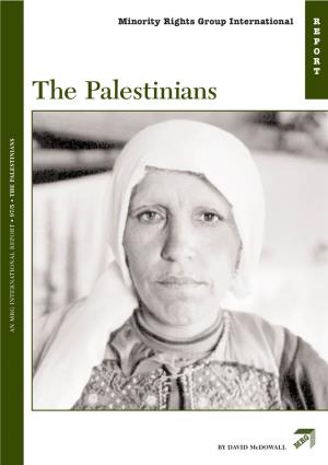 Palestinians Report