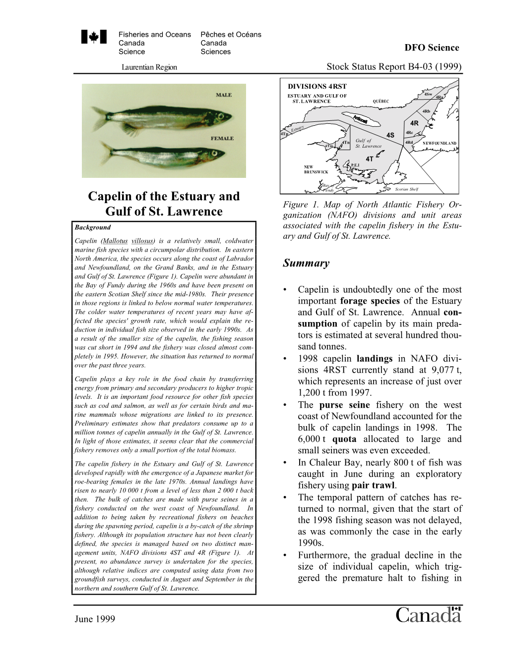 Capelin of the Estuary and the Gulf of St. Lawrence